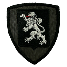 Patch Ricamata Brigata Aosta (Bassa Visibilità)